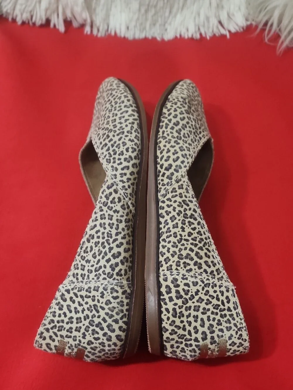 TOMS Women's Gemma Ballet Leopard Print Flats Shoes